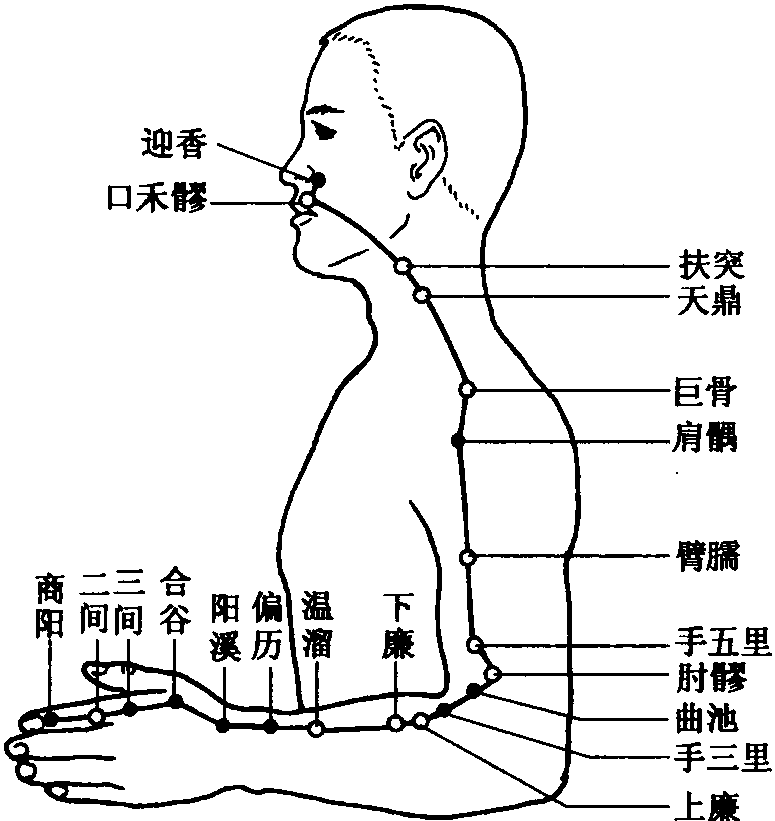 第三節(jié) 手三陽經(jīng)腧穴